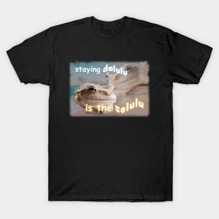 Staying Delulu Is The Solulu Frog Meme T-Shirt